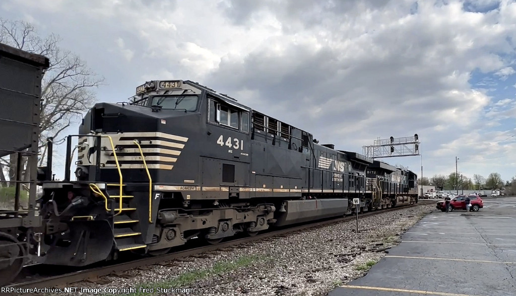 NS 4431